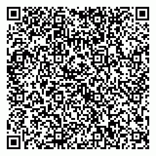 vCard 79623100333