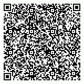 vCard 79623100334