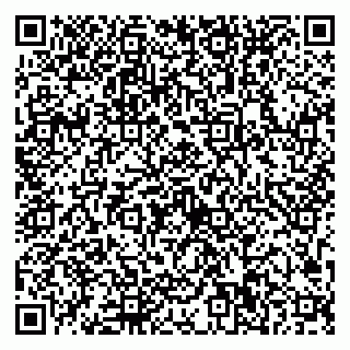 vCard 79623100335