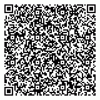 vCard 79623100339