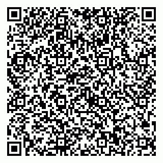 vCard 79623100374