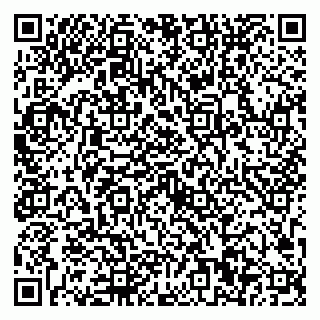 vCard 79623100378