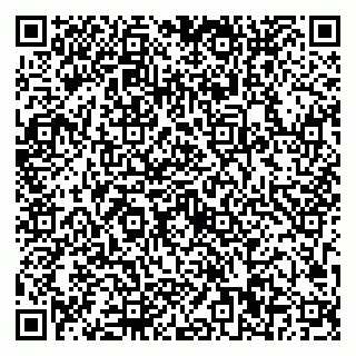 vCard 79623100379