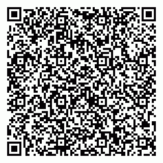 vCard 79623100381