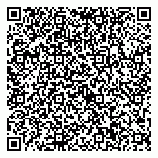 vCard 79623100384