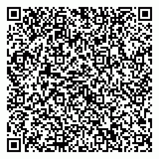vCard 79623100387