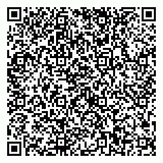 vCard 79623100389