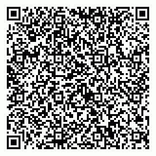 vCard 79623100397