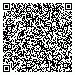 vCard 79623100399