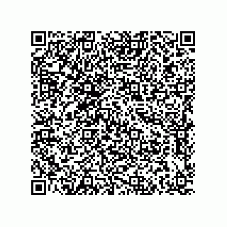 vCard 79623208739