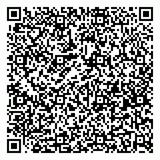 vCard 79623600381