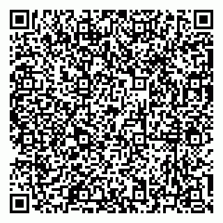 vCard 79623700331