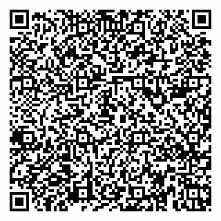 vCard 79623980207