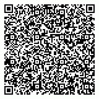 vCard 79623980213