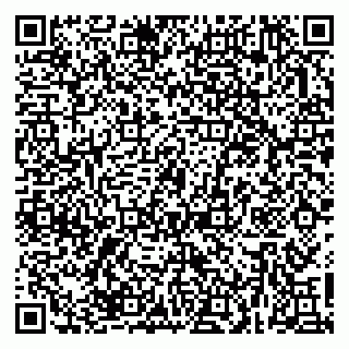 vCard 79623980217
