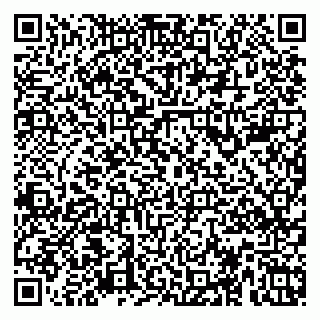 vCard 79623980235