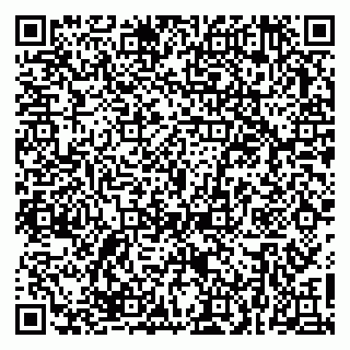 vCard 79623980241