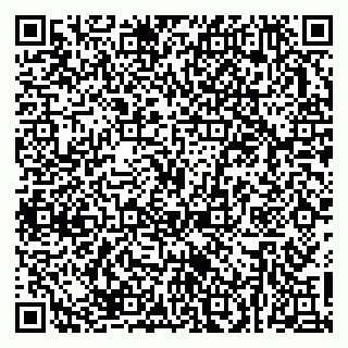 vCard 79623980274