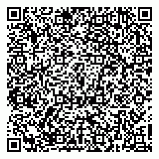 vCard 79623980281