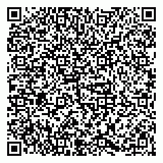 vCard 79623980287