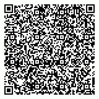 vCard 79623980289