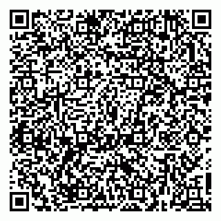 vCard 79623980291