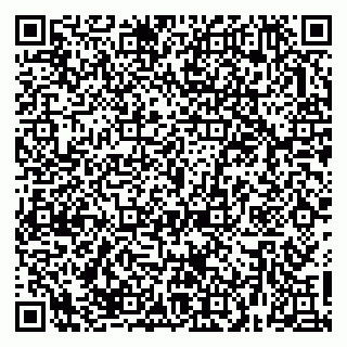 vCard 79623980294
