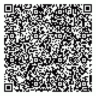 vCard 79623980301