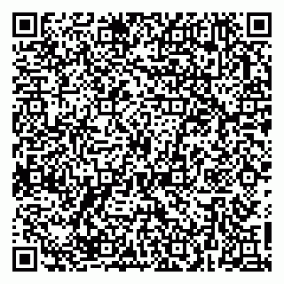 vCard 79623980304