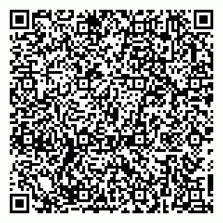 vCard 79623980306