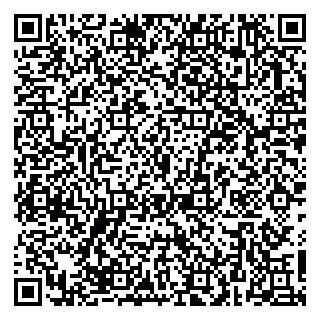vCard 79623980307