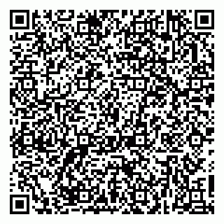 vCard 79623980313