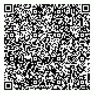 vCard 79623980315