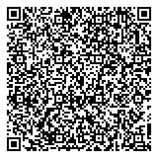 vCard 79623980319