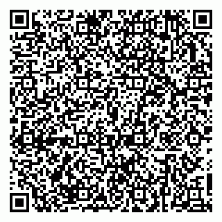 vCard 79623980321