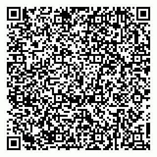 vCard 79623980329
