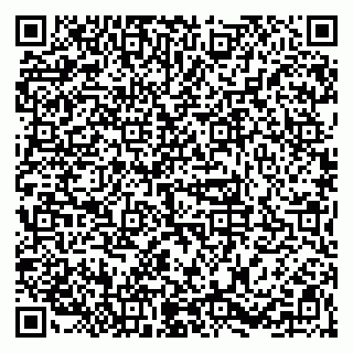 vCard 79623980331