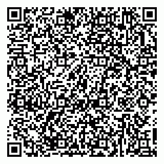vCard 79623980332