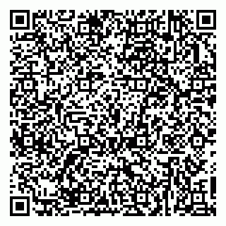 vCard 79623980333