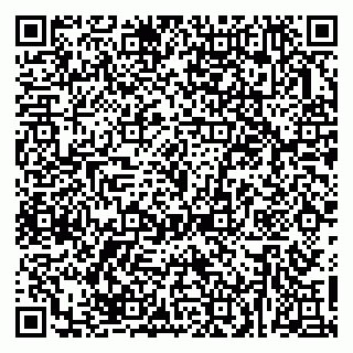 vCard 79623980334