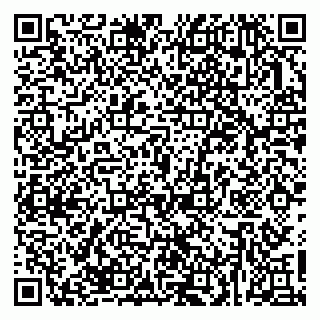 vCard 79623980335