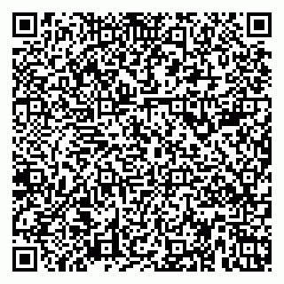 vCard 79623980337
