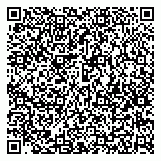 vCard 79623980338