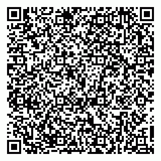 vCard 79623980349