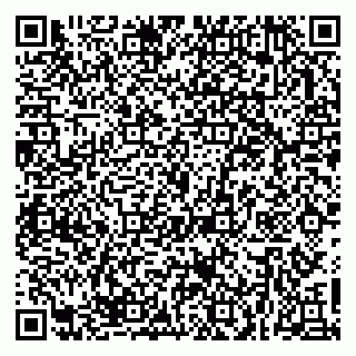 vCard 79623980351