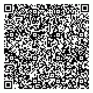 vCard 79623980376