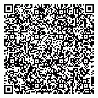 vCard 79623980377