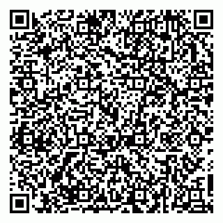 vCard 79623980379