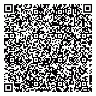 vCard 79623980381