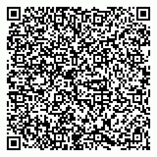 vCard 79623980382